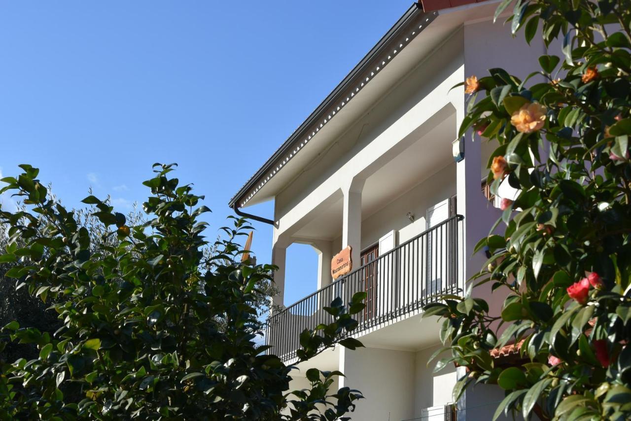Casa Mouramortina Vila Nova de Poiares Eksteriør billede